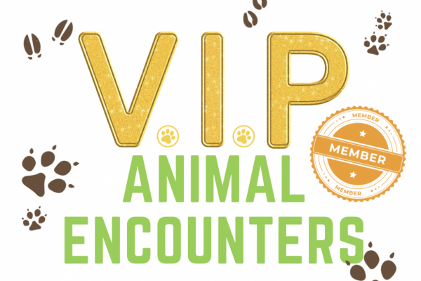 VIP Animal Encounters